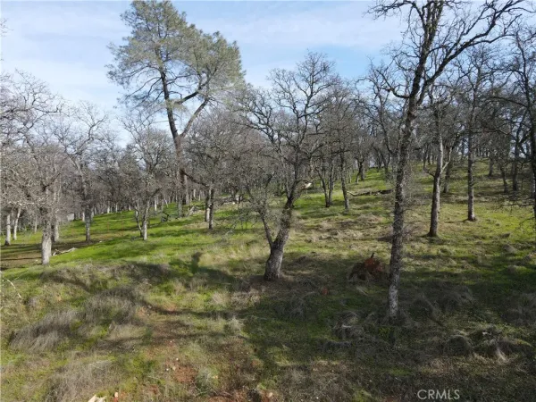 $129,500 | 0 Reginald Way, Palermo, CA 95968