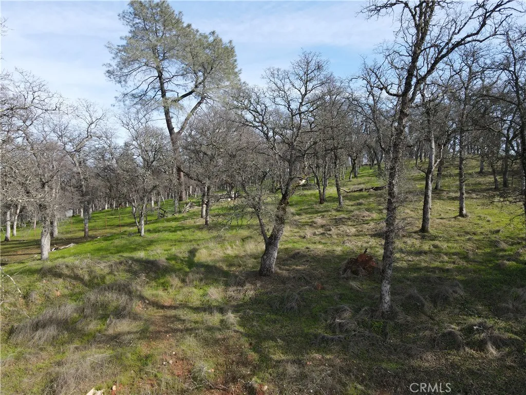 0 Reginald Way Palermo, CA 95968 - Photo 62 of 75 a view of a park with large trees