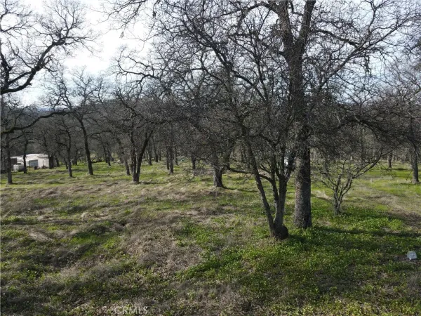 $129,500 | 0 Reginald Way, Palermo, CA 95968