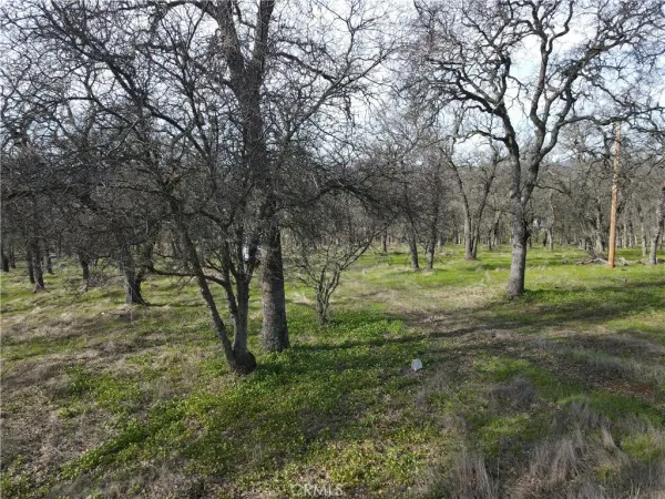 $129,500 | 0 Reginald Way, Palermo, CA 95968