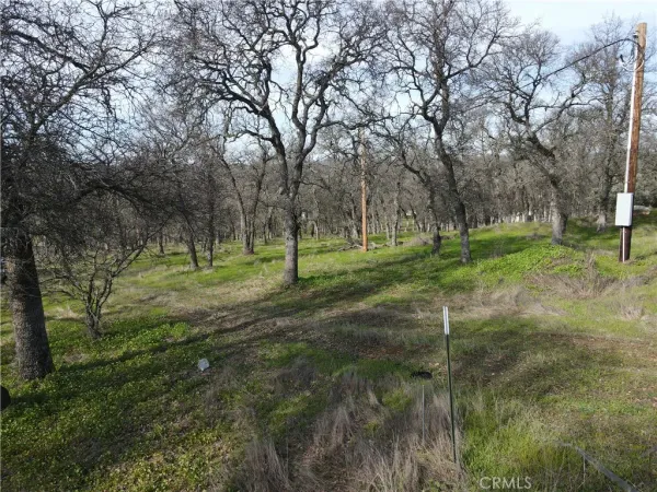 $129,500 | 0 Reginald Way, Palermo, CA 95968