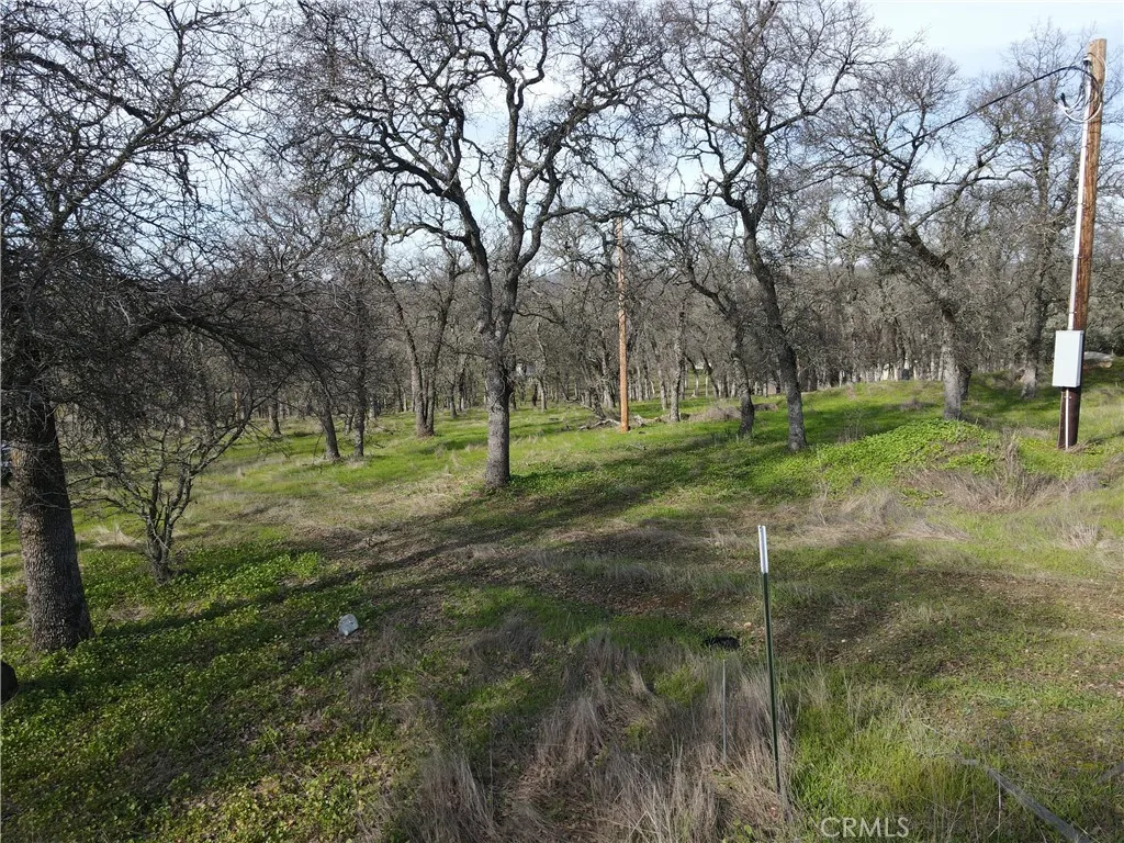 0 Reginald Way Palermo, CA 95968 - Photo 66 of 75 a view of a backyard with trees