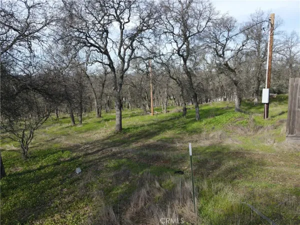 $129,500 | 0 Reginald Way, Palermo, CA 95968