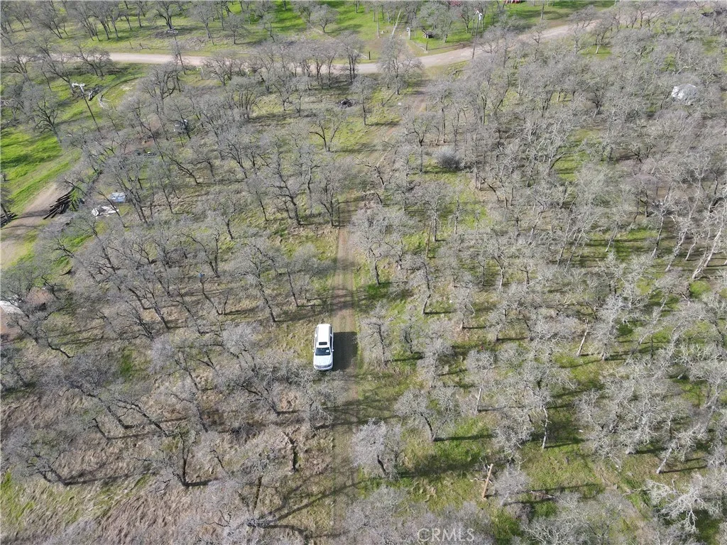 0 Reginald Way Palermo, CA 95968 - Photo 68 of 75