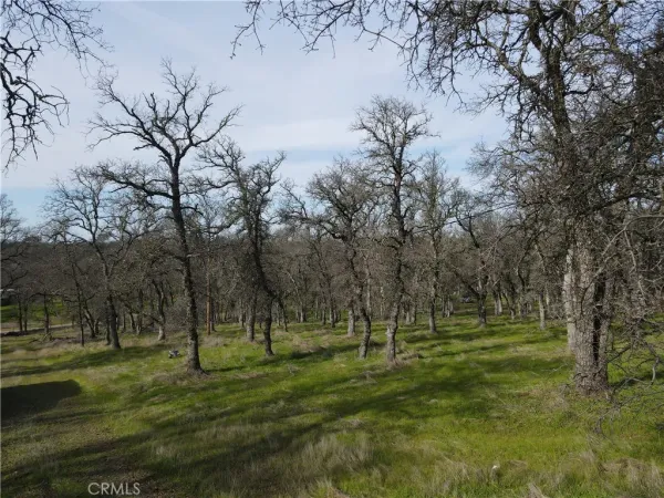 $129,500 | 0 Reginald Way, Palermo, CA 95968