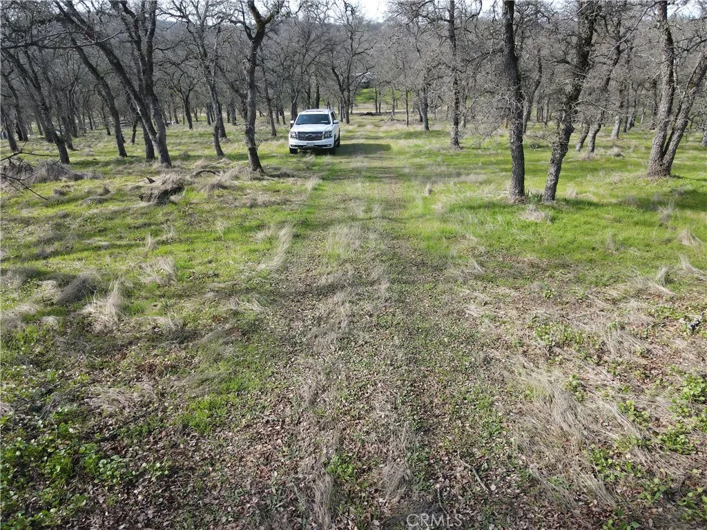 0 Reginald Way Palermo, CA 95968 - Photo 7 of 75 a view of outdoor space with trees all around