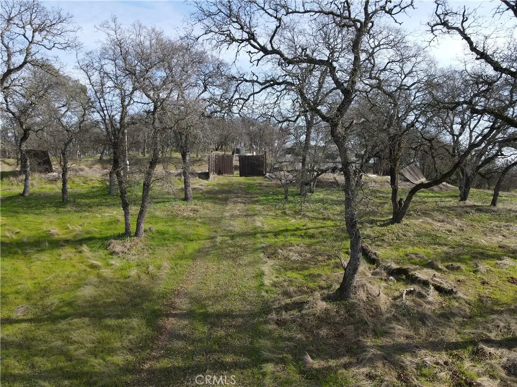 0 Reginald Way Palermo, CA 95968 - Photo 71 of 75 a view of a park with large trees