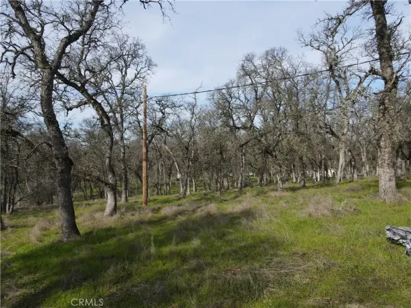 $129,500 | 0 Reginald Way, Palermo, CA 95968