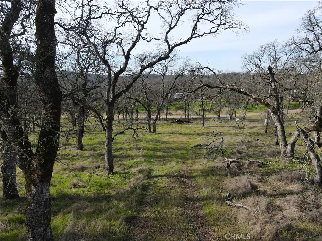 0 Reginald Way Palermo, CA 95968 - Photo 74 of 75 a view of outdoor space with trees