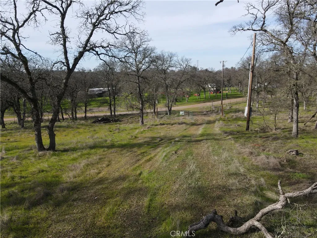 0 Reginald Way Palermo, CA 95968 - Photo 75 of 75 a view of a yard with trees