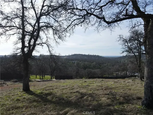a view of a big yard with green space