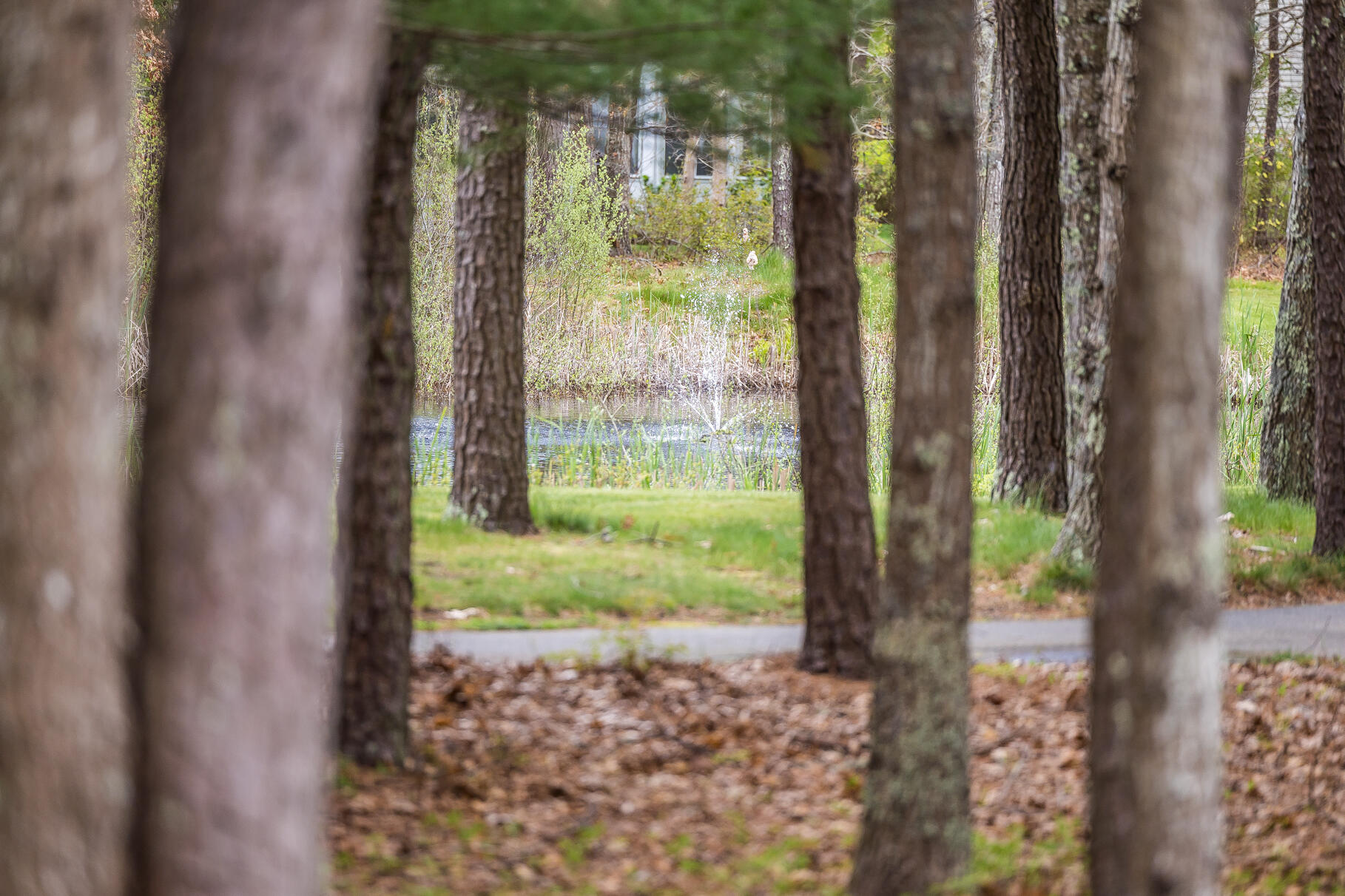 23 Longwood Road Mashpee, MA 02649 - Photo 5 of 66 a view of a garden from a window