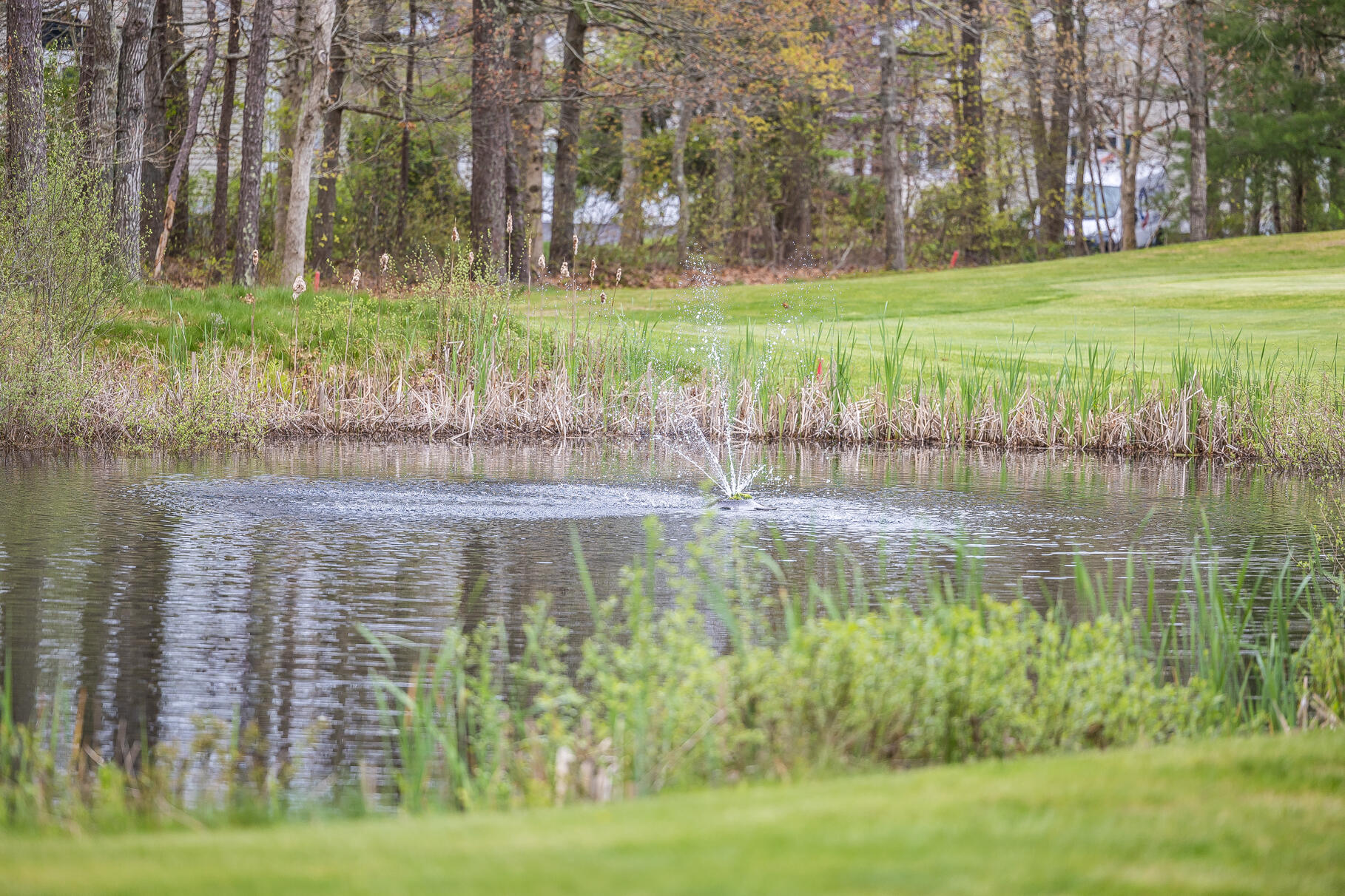 23 Longwood Road Mashpee, MA 02649 - Photo 6 of 66 9L4A3259