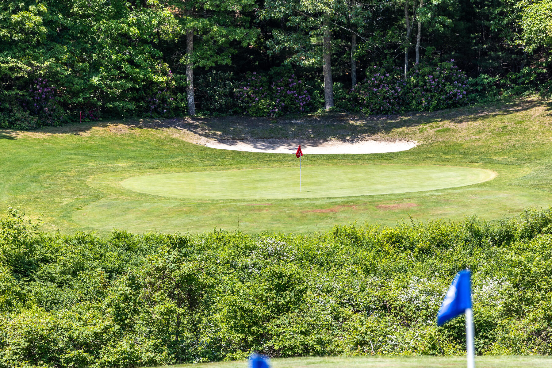 23 Longwood Road Mashpee, MA 02649 - Photo 65 of 66 598A1771