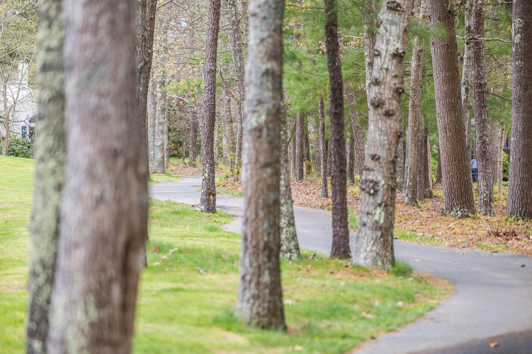 23 Longwood Road Mashpee, MA 02649 - Photo 7 of 66 9L4A3261