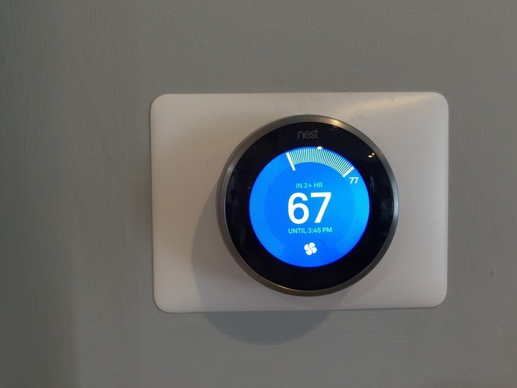 6 Arcadia Street Boston, MA 02119 - Photo 16 of 41