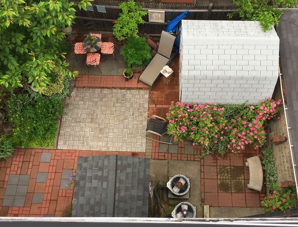 6 Arcadia Street Boston, MA 02119 - Photo 25 of 41