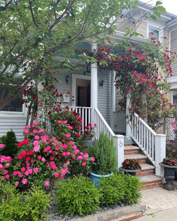 6 Arcadia Street Boston, MA 02119 - Photo 3 of 41