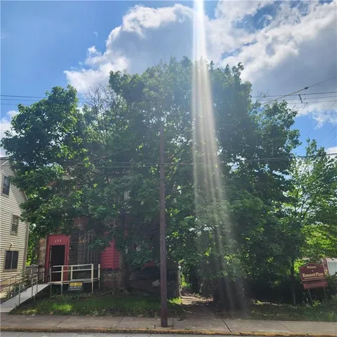a front view of a house with a yard and tree s