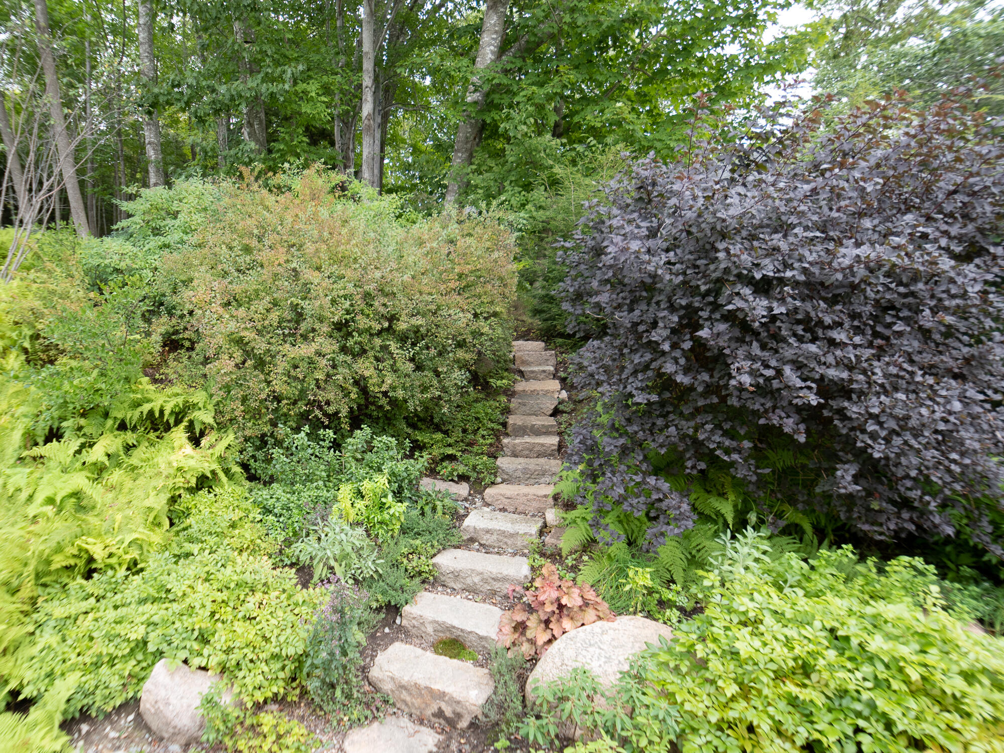 1 Main Street Mount Desert, ME 04660 - Photo 67 of 82 Garden