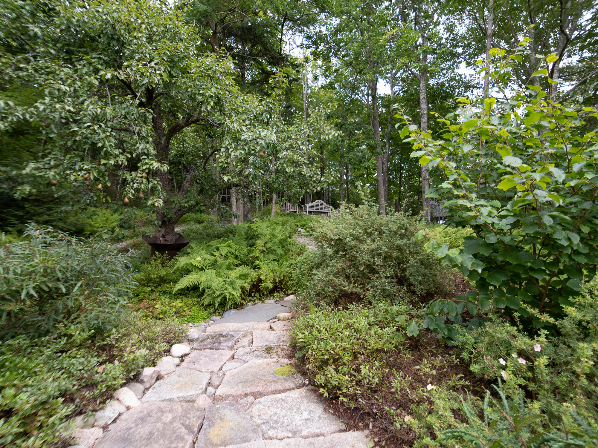 1 Main Street Mount Desert, ME 04660 - Photo 68 of 82 Garden