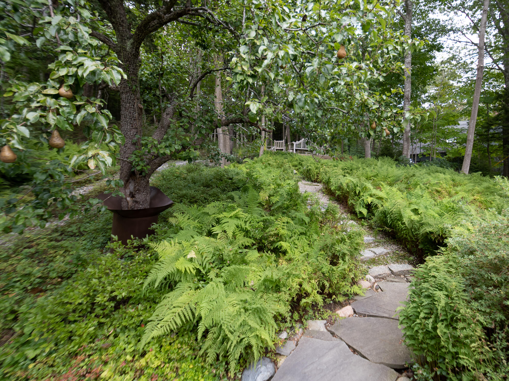 1 Main Street Mount Desert, ME 04660 - Photo 69 of 82 Garden