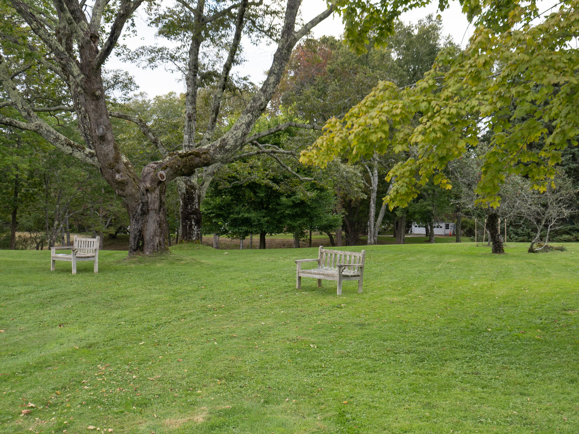 1 Main Street Mount Desert, ME 04660 - Photo 76 of 82 Park