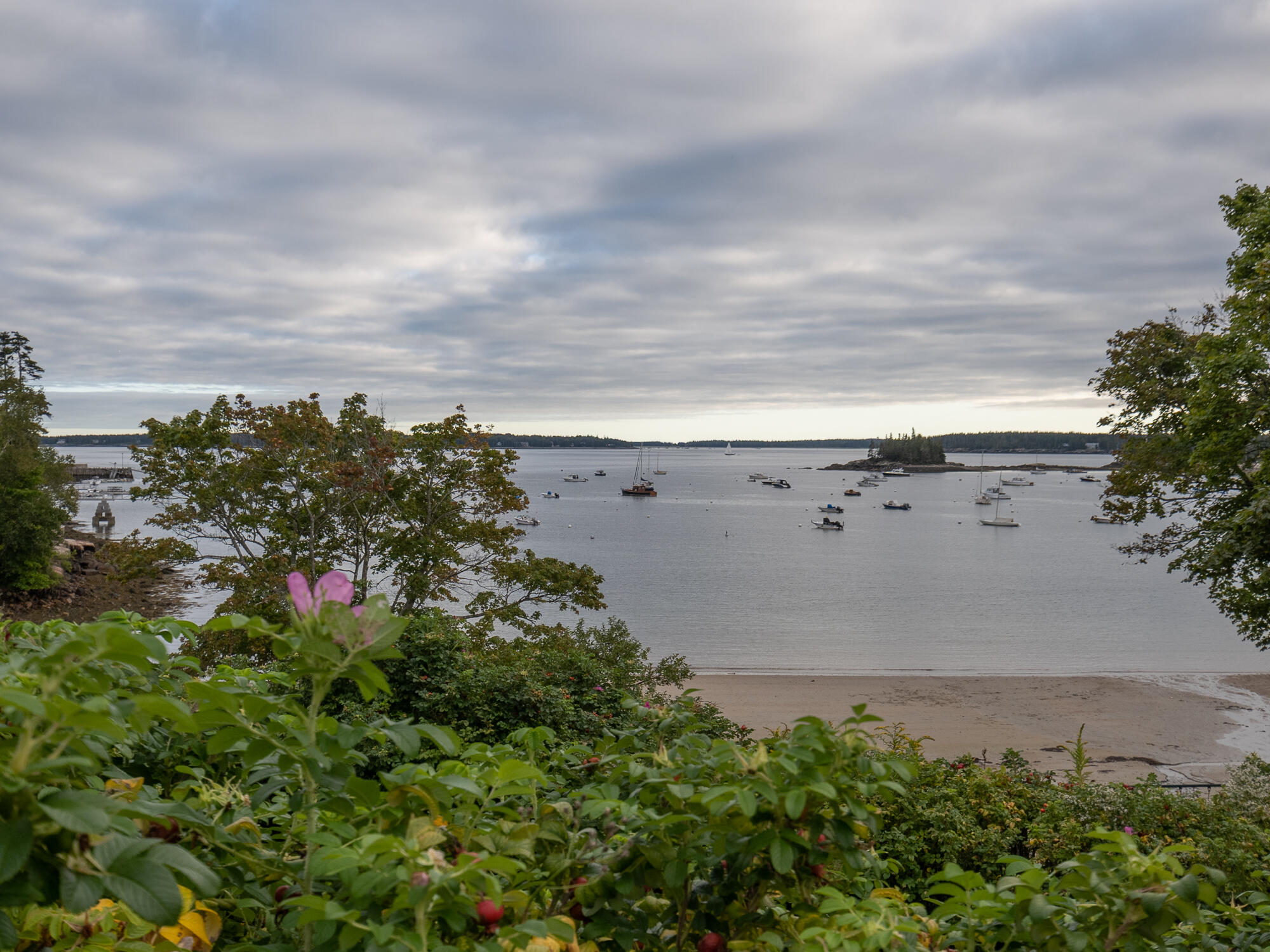 1 Main Street Mount Desert, ME 04660 - Photo 80 of 82 Seal Harbor