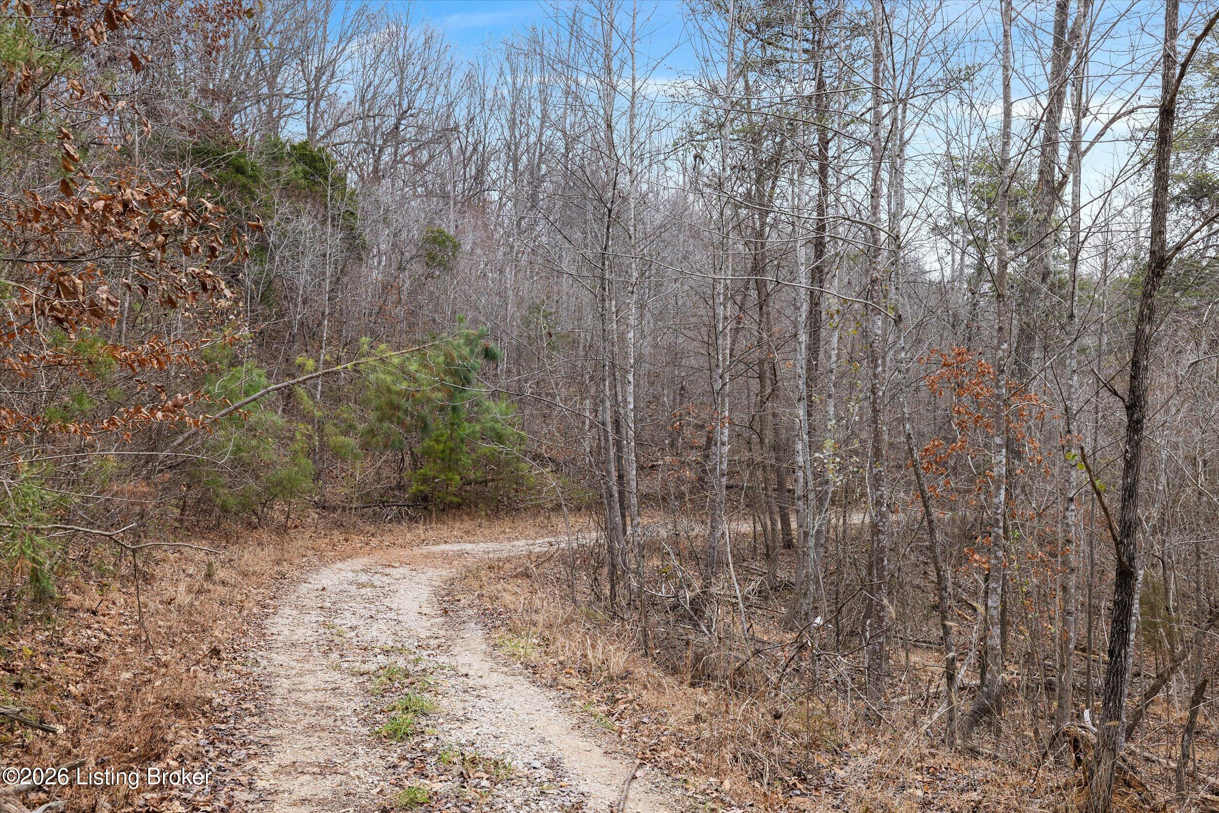 2795 North Pleasant Hill Road Upton, KY 42784 - Photo 8 of 28 05-3U8A3860