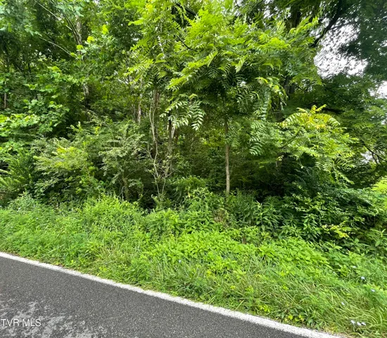 $5,000 | Tbd Drill Road, Honaker, VA 24260