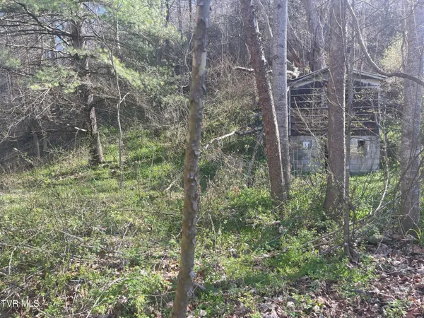 $5,000 | Tbd Drill Road, Honaker, VA 24260