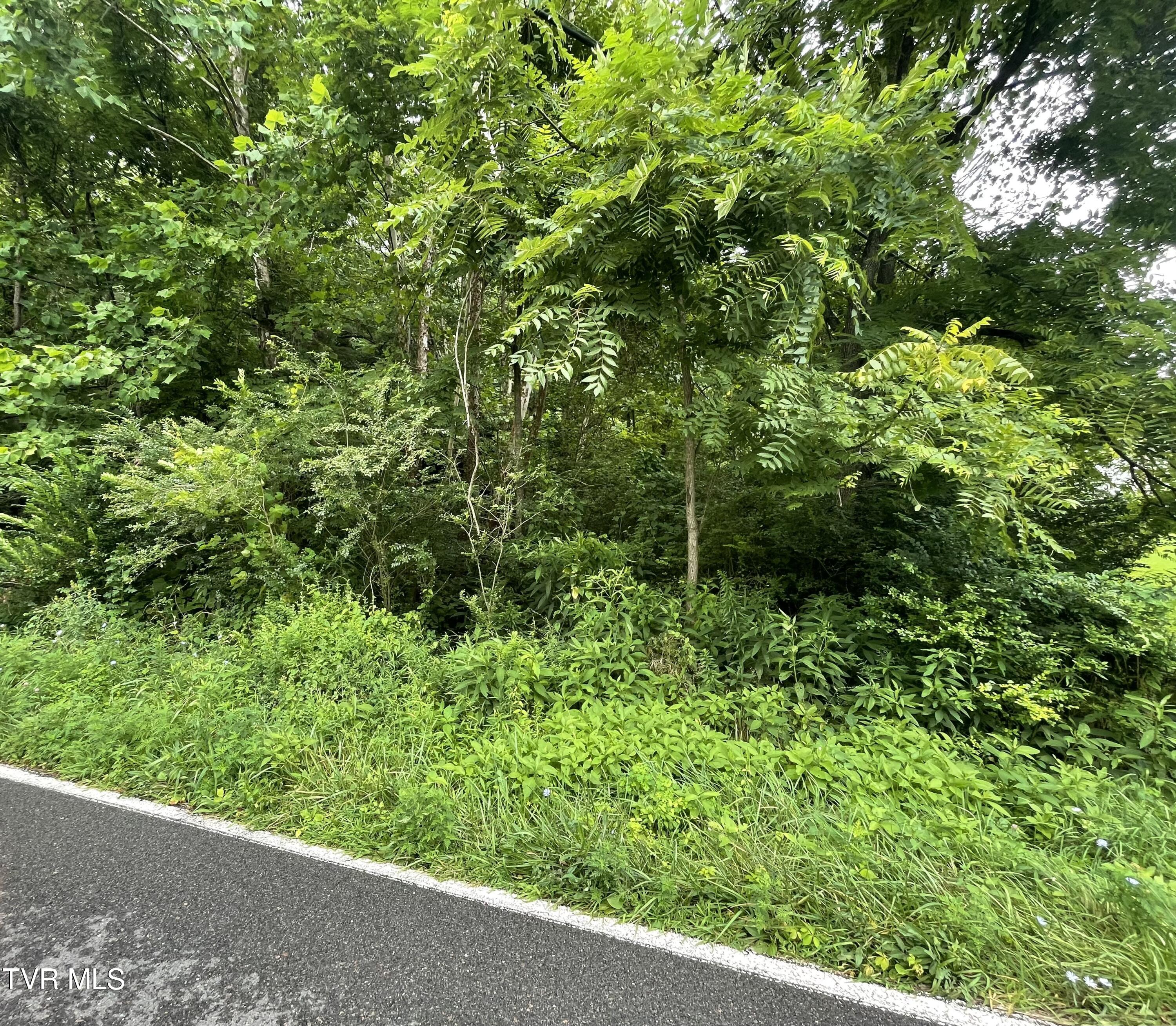 Tbd Drill Road Honaker, VA 24260 - Photo 2 of 11 IMG_0705