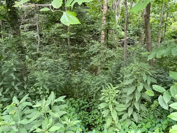 $5,000 | Tbd Drill Road, Honaker, VA 24260
