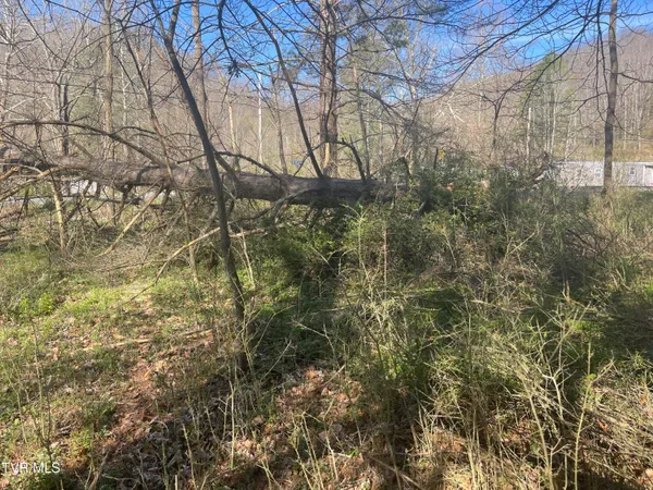 $5,000 | Tbd Drill Road, Honaker, VA 24260