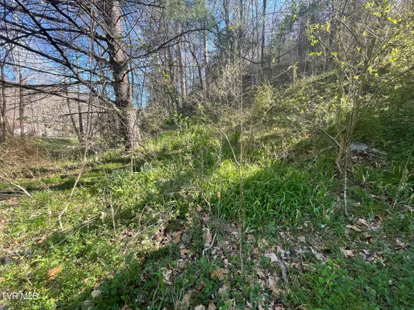 $5,000 | Tbd Drill Road, Honaker, VA 24260