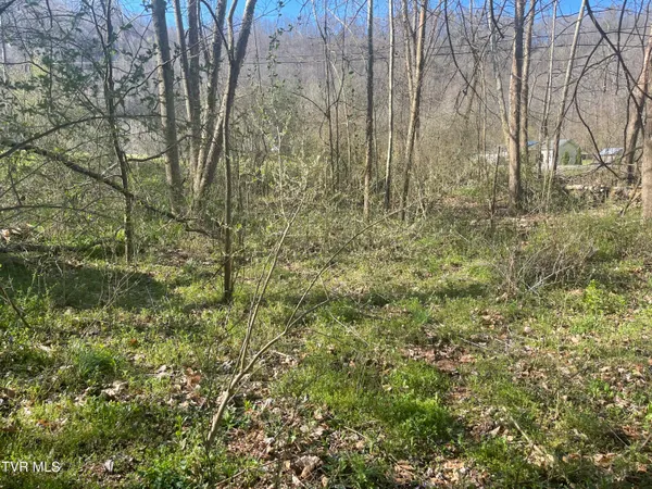 $5,000 | Tbd Drill Road, Honaker, VA 24260