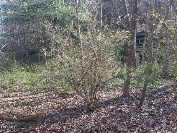 $5,000 | Tbd Drill Road, Honaker, VA 24260