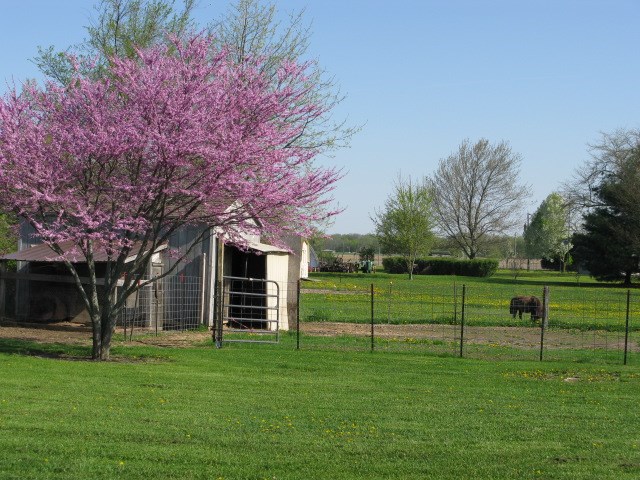 2802 County Road 61A Butler, IN 46721 - Photo 30 of 36