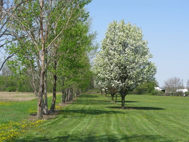 2802 County Road 61A Butler, IN 46721 - Photo 35 of 36