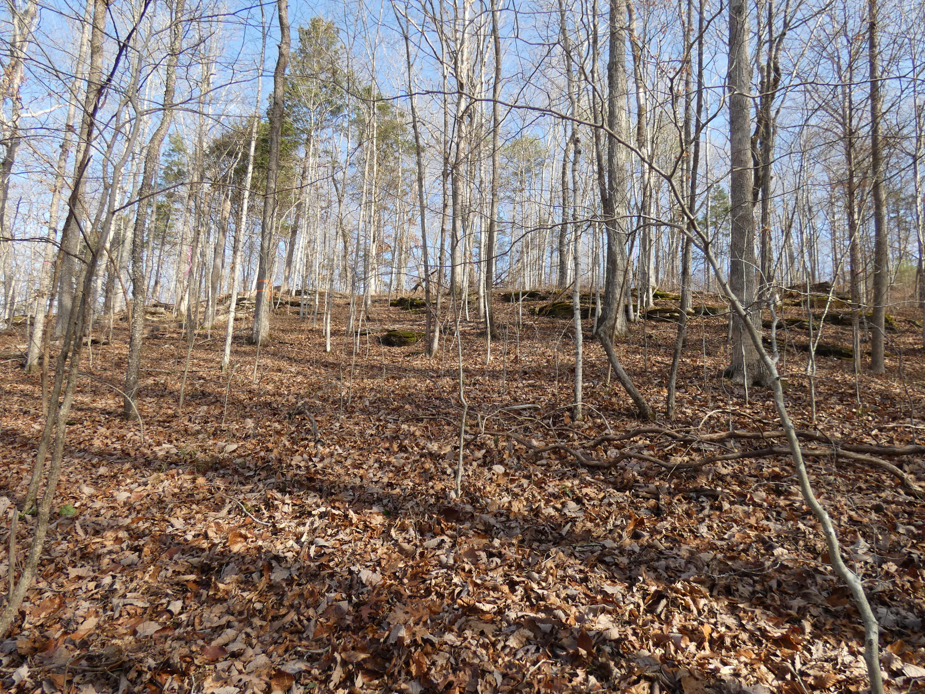 136 West Willow Point Road Monticello, KY 42633 - Photo 13 of 17 P1030107