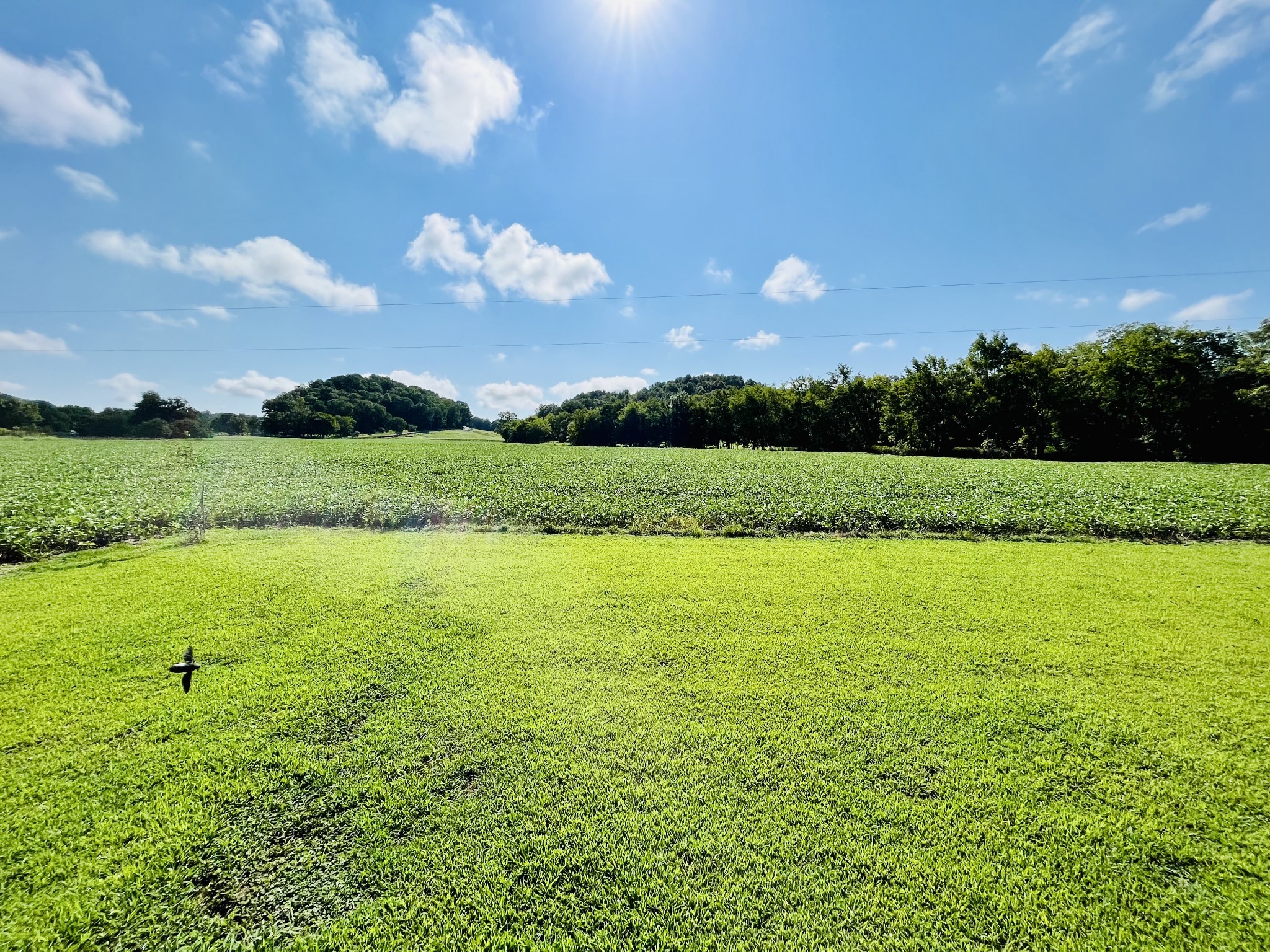 2621 Hagan Road Prospect, TN 38477 - Photo 18 of 18 a view of an ocean and a yard