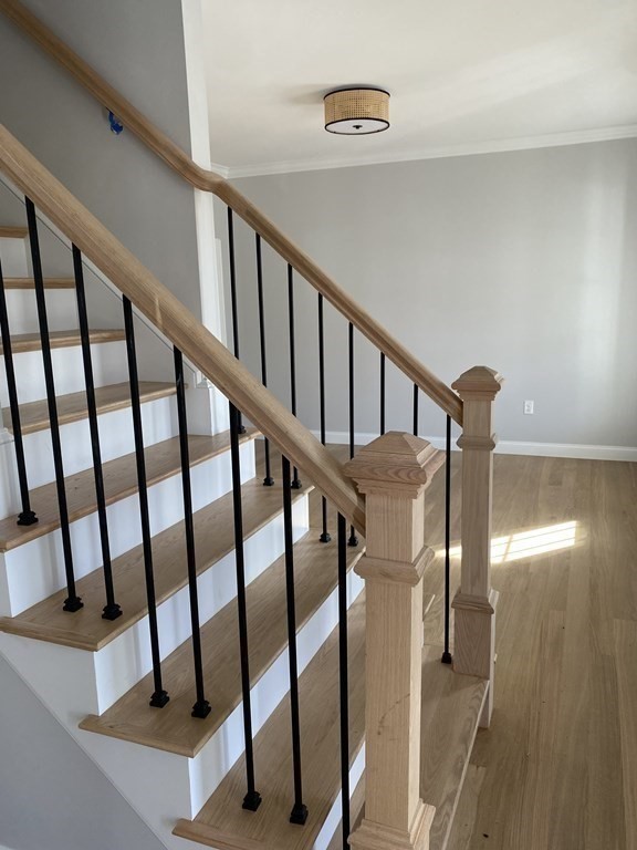 9 Georgia Rae Way Attleboro, MA 02703 - Photo 12 of 30 Gallery Image 12