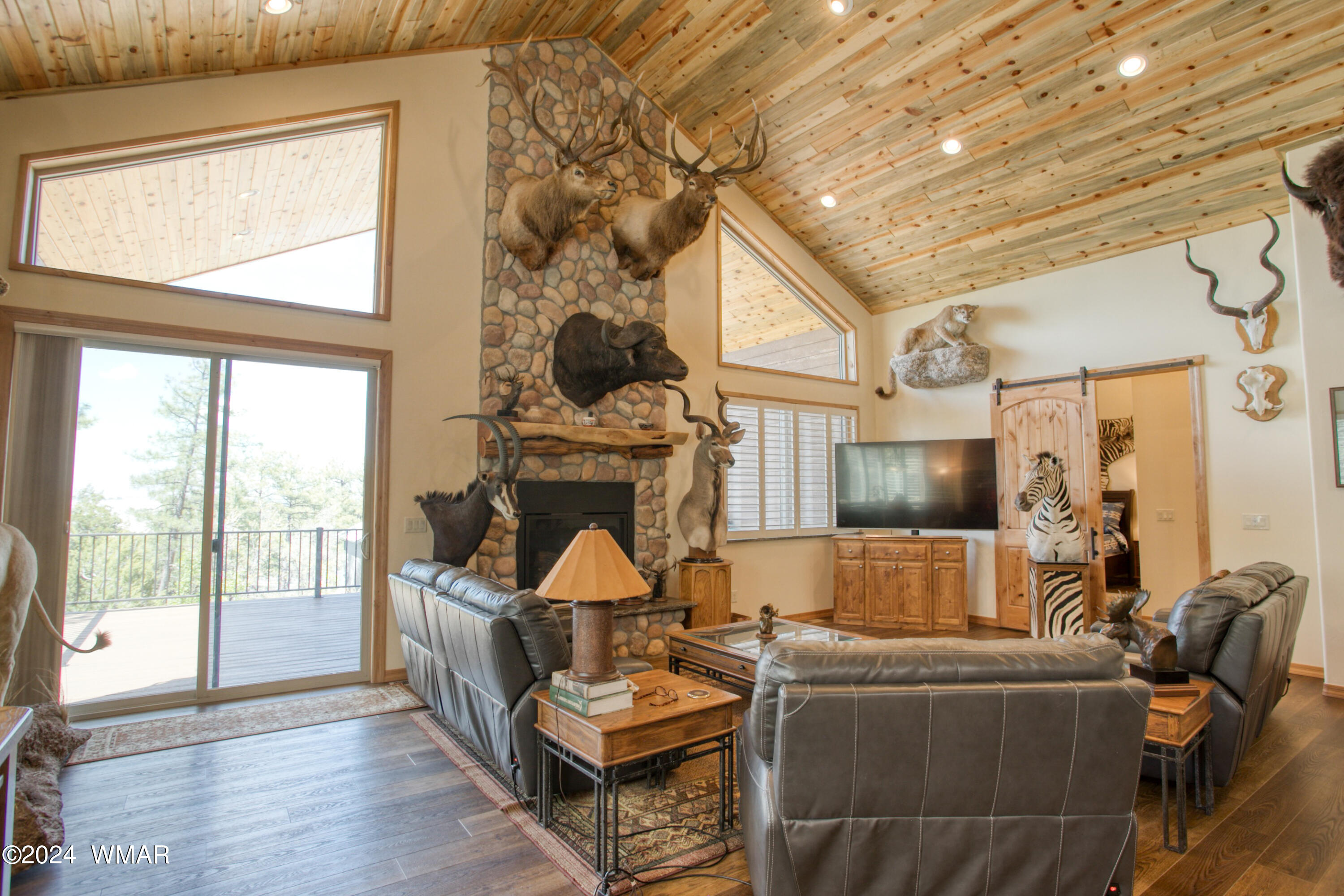 2121 South Snowy Ridge Loop Show Low, AZ 85901 - Photo 10 of 29