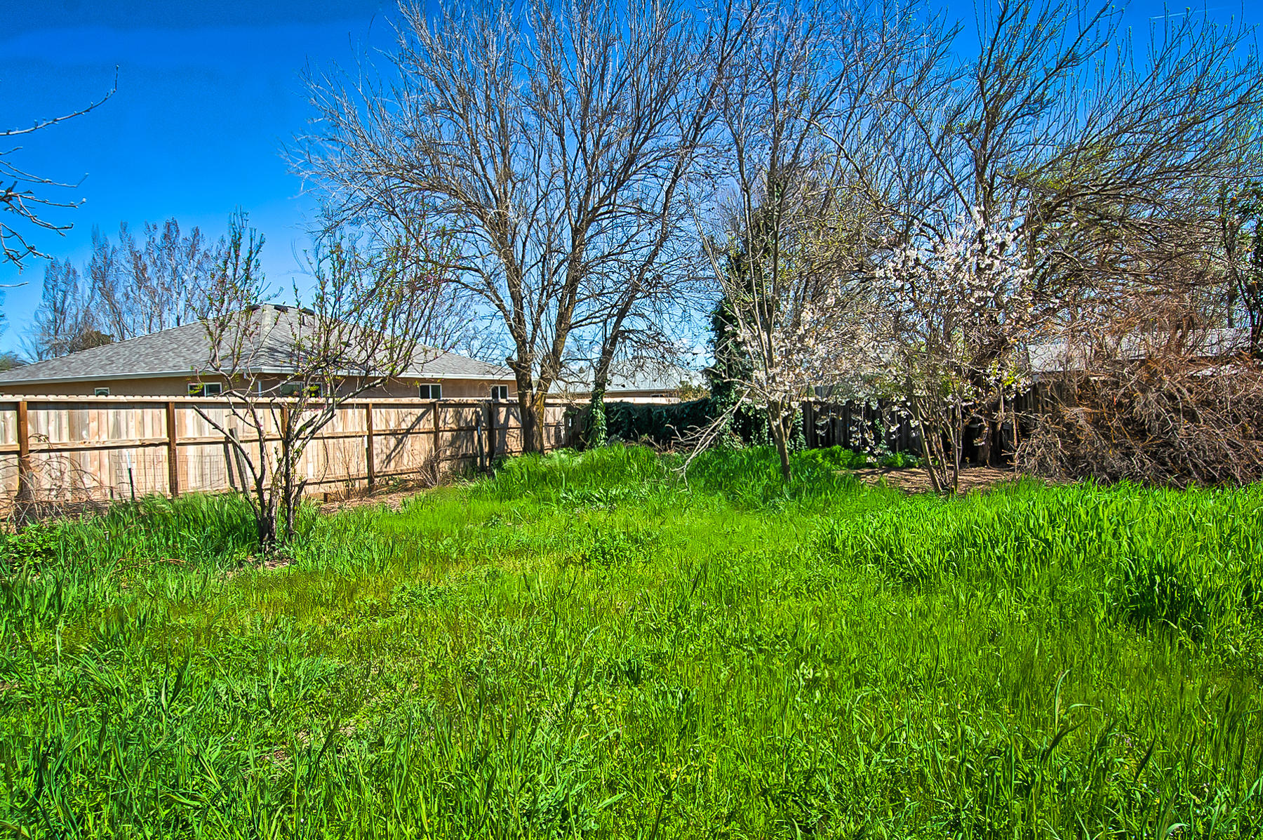 3661 Rabbit Lane Cottonwood, CA 96022 - Photo 34 of 34 rabbit-133