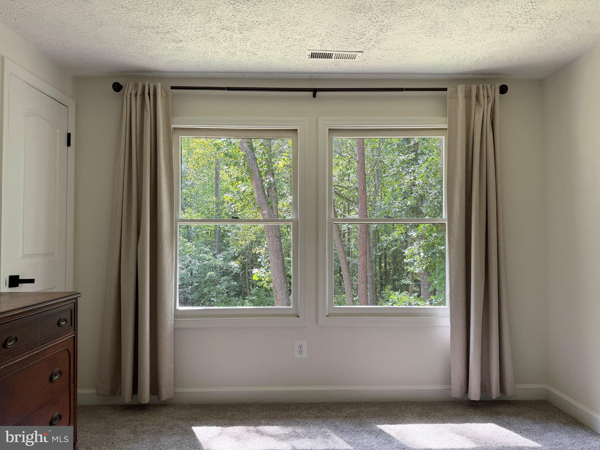 2208 Cartersville Road Mineral, VA 23117 - Photo 30 of 44 Serene views through bright windows.