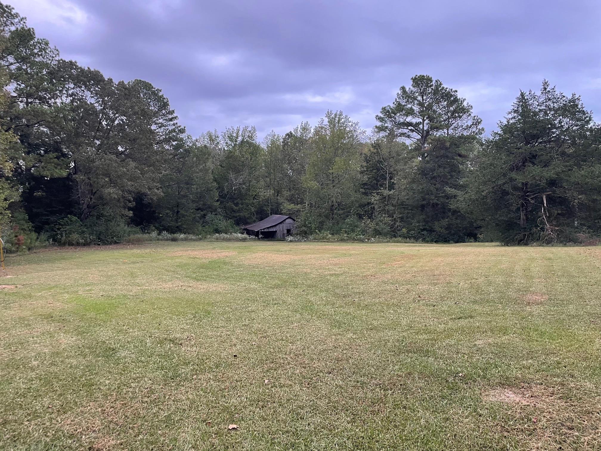 8540-8530 Glendale Road Morris Chapel, TN 38361 - Photo 20 of 21 a view of outdoor space with mountain view