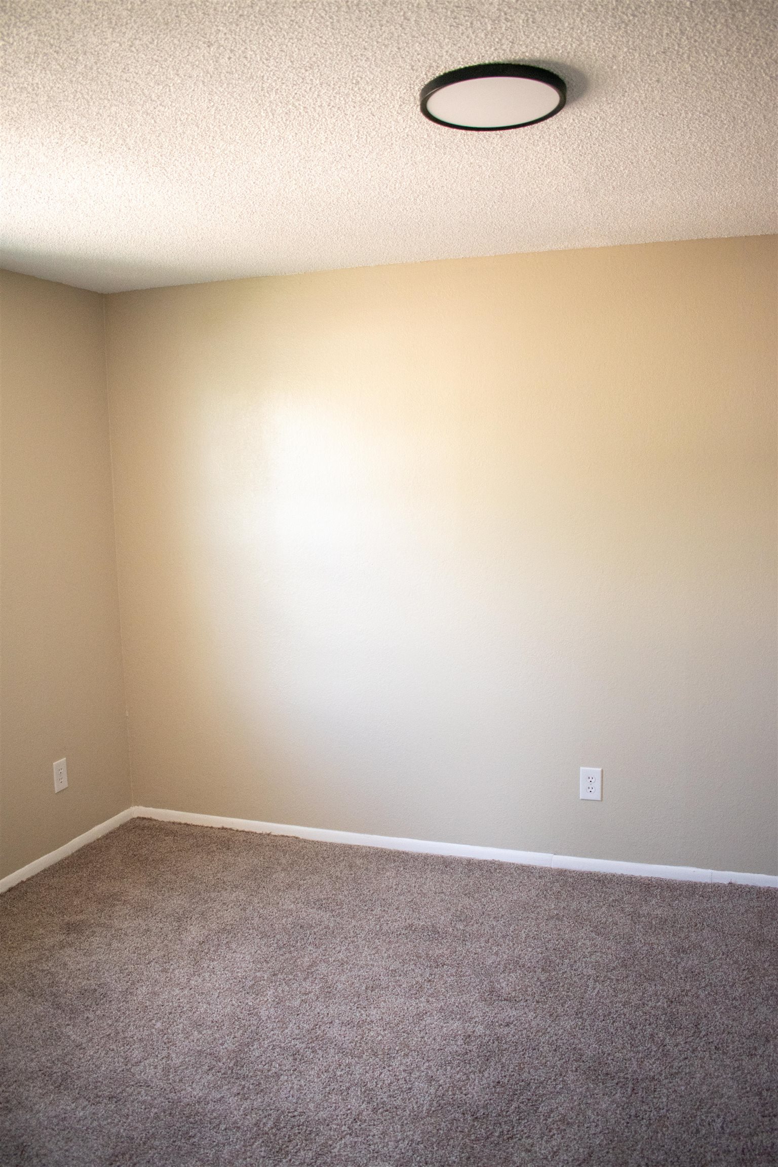 430 Doris Road Grand Junction, CO 81504 - Photo 15 of 19 Gallery Image 15