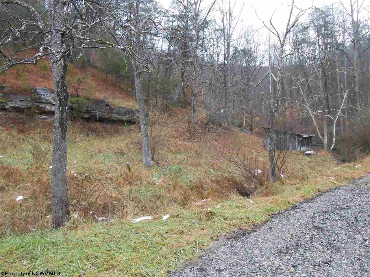 853 Grass Run Road Normantown, WV 25267 - Photo 26 of 30 Gallery Image 26