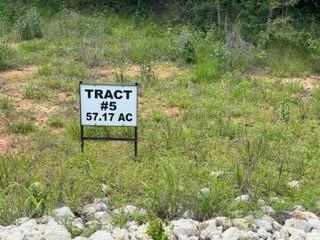 5 Fm 1848 Buffalo, TX 75831 - Photo 3 of 8