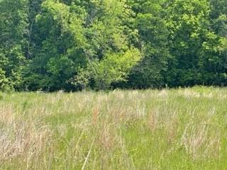 5 Fm 1848 Buffalo, TX 75831 - Photo 4 of 8